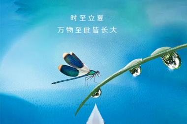 【溫暖?財(cái)鑫】立夏初至，萬物長(zhǎng)大