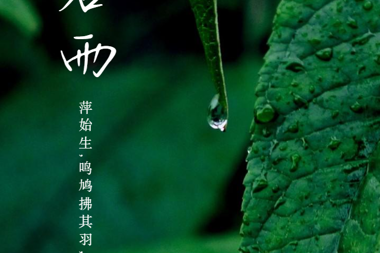 【溫暖?財(cái)鑫】每一次風(fēng)雨過后，終將在陽光中溫暖新生