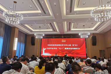 市財(cái)政局黨組理論學(xué)習(xí)中心組（擴(kuò)大）專(zhuān)題學(xué)習(xí)習(xí)近平總書(shū)記“七一”重要講話精神