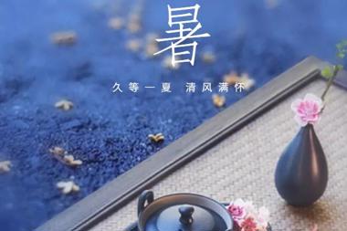 【溫暖?財鑫】昂揚(yáng)生長，不負(fù)好時光